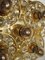 Gold and Crystal Glass Sconce, 1960s, Image 16