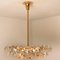 Brass and Crystal Glass Chandelier by Palwa for Bakalowits & Sohne, Austria, 1960s 4