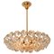 Brass and Crystal Glass Chandelier by Palwa for Bakalowits & Sohne, Austria, 1960s 1