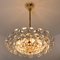 Brass and Crystal Glass Chandelier by Palwa for Bakalowits & Sohne, Austria, 1960s 11