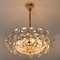 Brass and Crystal Glass Chandelier by Palwa for Bakalowits & Sohne, Austria, 1960s, Image 11
