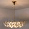 Brass and Crystal Glass Chandelier by Palwa for Bakalowits & Sohne, Austria, 1960s 7