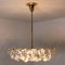 Brass and Crystal Glass Chandelier by Palwa for Bakalowits & Sohne, Austria, 1960s, Image 7