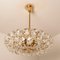 Brass and Crystal Glass Chandelier by Palwa for Bakalowits & Sohne, Austria, 1960s, Image 2