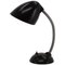 Bakelite Table Lamp, Czechoslovakia, 1950s, Image 1