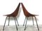 Plywood Dining Chairs by Vittorio Nobili for Fratelli Tagliabue, 1950s, Set of 2, Image 4
