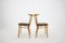 Beech Dining Chairs from Tatra, Czechoslovakia, 1960s, Set of 4 5