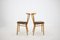 Beech Dining Chairs from Tatra, Czechoslovakia, 1960s, Set of 4, Image 5