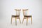 Beech Dining Chairs from Tatra, Czechoslovakia, 1960s, Set of 4, Image 4