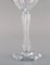 Lalaing Gläser aus mundgeblasenem Kristallglas von Val St. Lambert, Belgien, 1950er, 6er Set 4