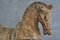 Cavallina in terracotta di Aldo Londi per Bitossi, anni '70, Immagine 5