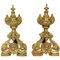 Regency Style Brass Andirons or Firedogs, Set of 2 1