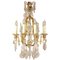 Small Louis XV Style 8-Light Chandelier, French, 1900s 1