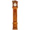 Horloge Longue de la Demi-Salle du 18ème Siècle en Marqueterie par Johann Wilhelm Wellershaus, Allemagne 1