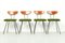 Mid-Century Belgian Dining Chairs, 1950s, Set of 4, Image 1