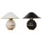 Mid-Century Table Lamps from Napako, Czechoslovakia, 1960s, Set of 2, Image 1