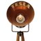 Industrielle Mid-Century Dreibein Stehlampe aus braunem Metall & Holz 3