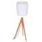 Mid-Century Oak & Milk Glass Floor Lamp, 1950s 1