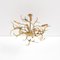 Brass Branches Chandelier by Willy Daro, 1970s 5