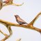 Brass Branches Chandelier by Willy Daro, 1970s 26