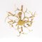 Brass Branches Chandelier by Willy Daro, 1970s 6