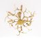 Brass Branches Chandelier by Willy Daro, 1970s, Image 6