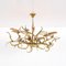 Brass Branches Chandelier by Willy Daro, 1970s 1