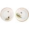 Antique Hand-Painted Butterfly & Insect Plates from Bing & Grøndahl, Set of 2 1