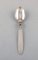 Georg Jensen Cactus Cutlery Coffee Spoons in Sterling Silver, 1940s, Set of 12 2