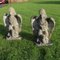 Weathered Eagles, 1950s, Set of 2, Image 4