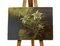 19th Century Miniature Oil on Board Painting of Edelweiss 3