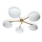 Glass and Brass Flush Mount Star Ceiling Lamp, 2009 1