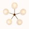 Glass and Brass Flush Mount Star Ceiling Lamp, 2009 2