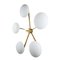 Glass and Brass Flush Mount Star Ceiling Lamp, 2009 4