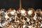 Austrian Crystal Chandelier from Bakalowits & Söhne, 1960s, Image 30