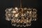 Austrian Crystal Chandelier from Bakalowits & Söhne, 1960s 5