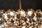Austrian Crystal Chandelier from Bakalowits & Söhne, 1960s, Image 29