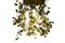 Flower Power Deckenlampe mit Murano Glas und Physalis Blumen von Vgnewtrend 1