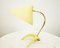 Crane Feet Table Lamp by Louis Kalff for Philips 10