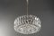 Lámpara de araña de cristal de níquel de Bakalowits & Söhne, años 50, Imagen 3