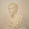 Large Italian Grand Tour Plaster Roman Senator Bust, 1930s 2