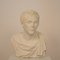 Large Italian Grand Tour Plaster Roman Senator Bust, 1930s, Image 13