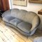 Mid-Century Modern Brass & Velvet Curved Sofa in the Style of Gio Ponti, 1950s 2