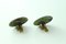 Enamel Earclips by Atelier Casanova for Atelier Casanova, 1950s, Set of 2 3