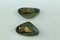 Enamel Ear Clips from Atelier Casanova, 1950s, Set of 2, Image 3