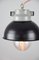 Vintage Dark Blueberry Small Industrial Pendant Lamp from TEP 7
