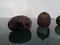 Danish Ceramic Hedgehogs by Ellen Karlsen for Kähler, 1960s, Set of 5, Image 10