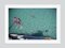 Swimming in Bermuda Oversize C Print Framed in White by Slim Aarons, Image 1