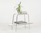 Bauhaus Chrome Flower Stand & Side table with White Opaline Glass, 1930s 3