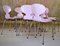 Pink Ant Stühle von Arne Jacobsen für Fritz Hansen, 1970er, 6er Set 5